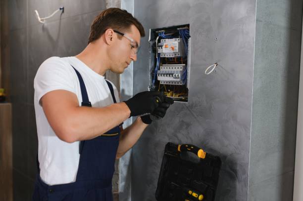 Best Ceiling Fan Installation Electrician  in Blissfield, MI