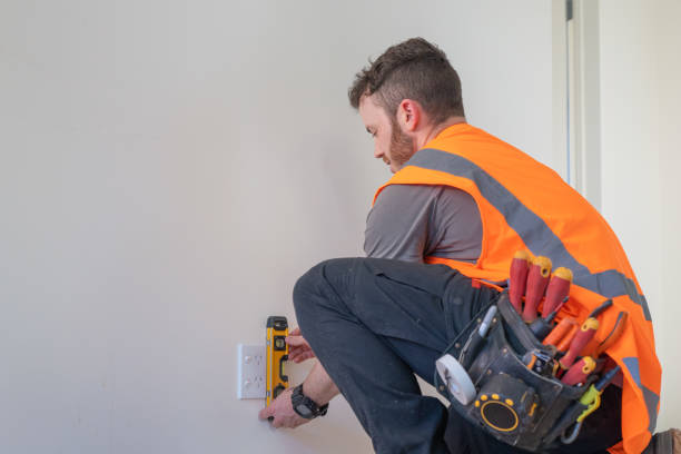 Best Affordable Electrician  in Blissfield, MI