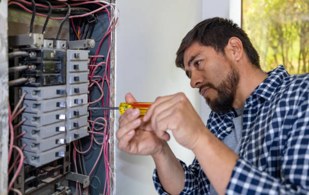 Best Electric Panel Repair  in Blissfield, MI